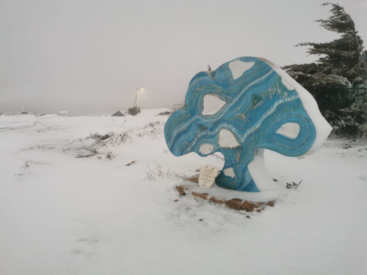 (צילום: פורום ההתיישבות הצעירה)